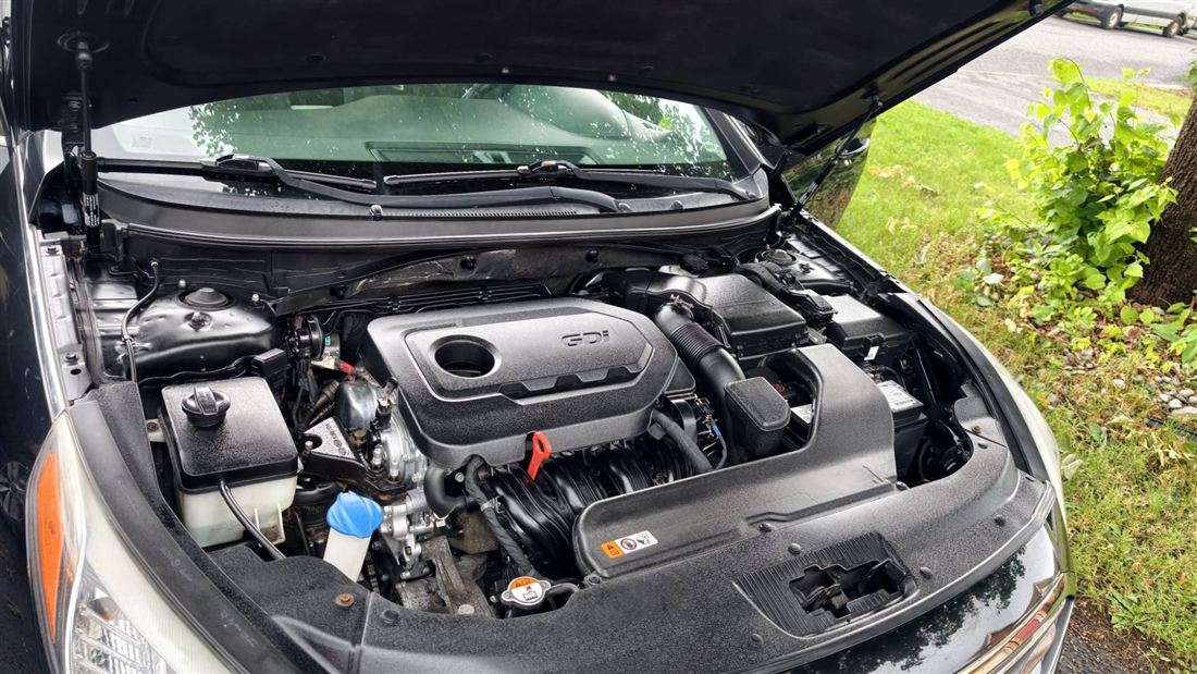 Engine bay after detailing