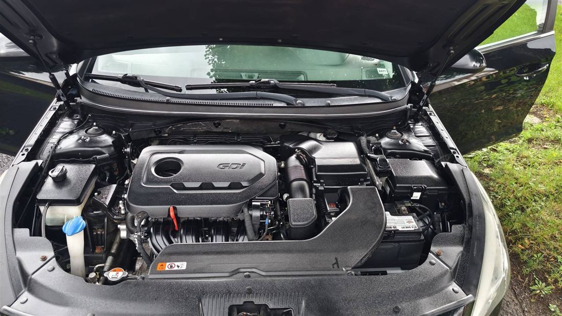 Cleaned engine bay